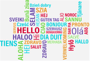 language 